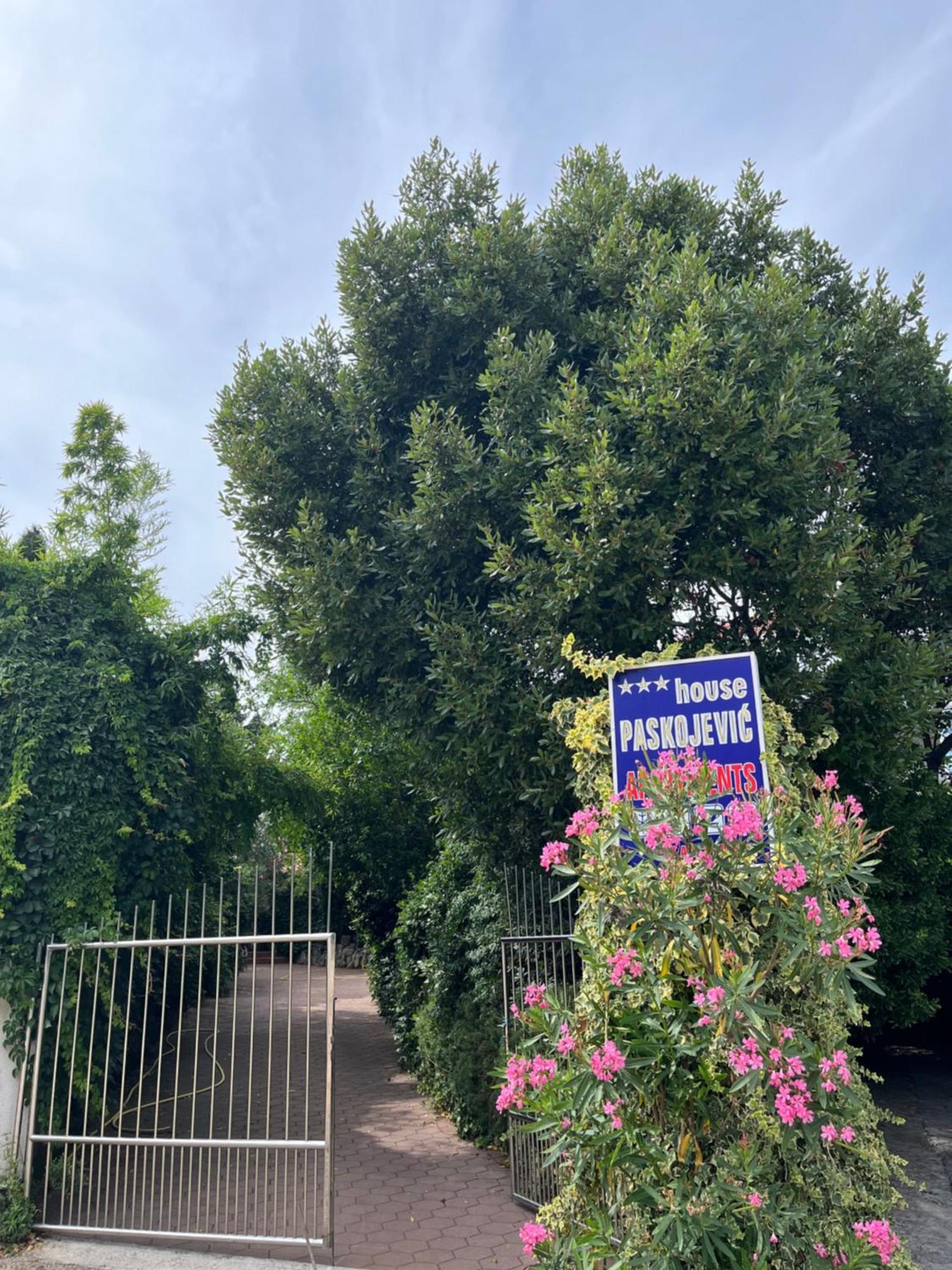 Hotel House Paskojević Dubrownik Zewnętrze zdjęcie